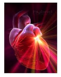 Cardiolog&iacute;a y Cirug&iacute;a Cardiaca